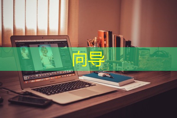 向导 向导