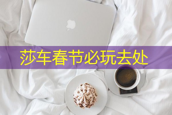 莎车春节必玩去处