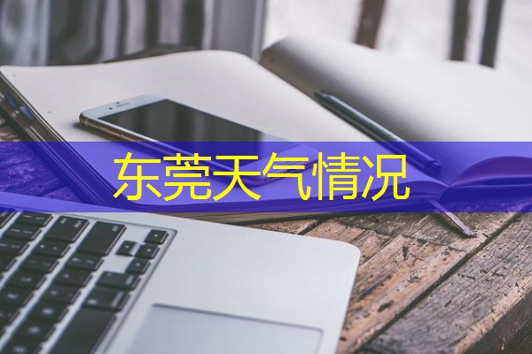 东莞天气情况 东莞天气情况