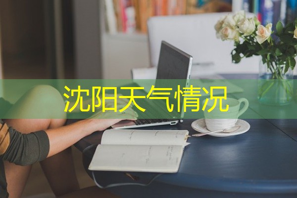 沈阳天气情况 沈阳天气情况