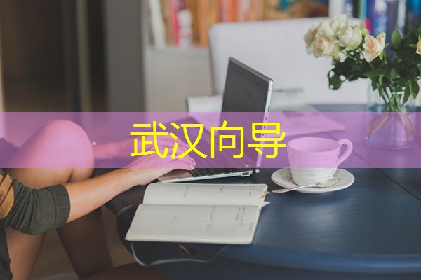 武汉向导