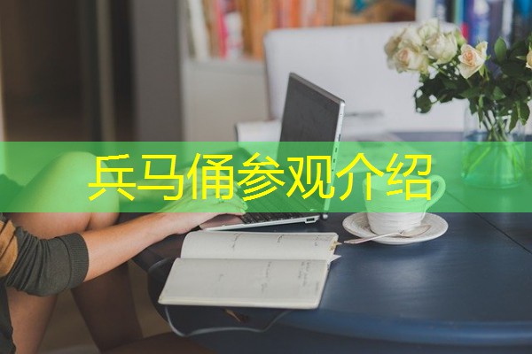 兵马俑参观介绍 兵马俑参观介绍