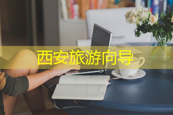 西安旅游向导 西安旅游向导