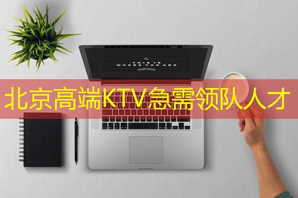 北京高端KTV急需领队人才