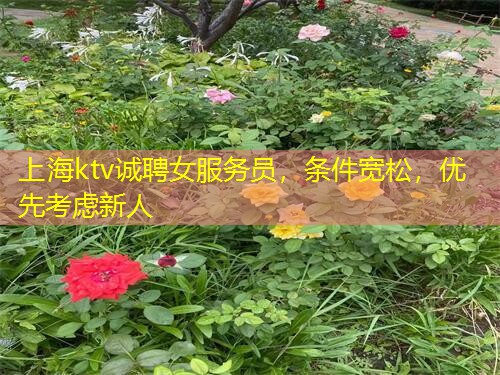 上海ktv诚聘女服务员，条件宽松，优先考虑新人