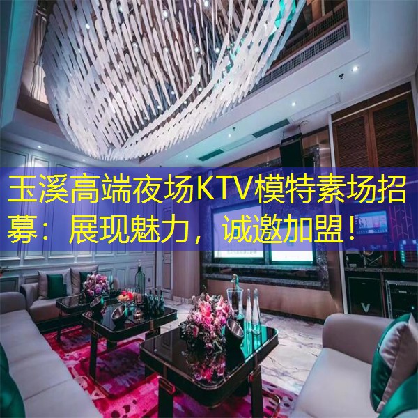 玉溪高端夜场KTV模特素场招募：展现魅力，诚邀加盟！