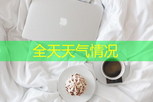 全天天气情况