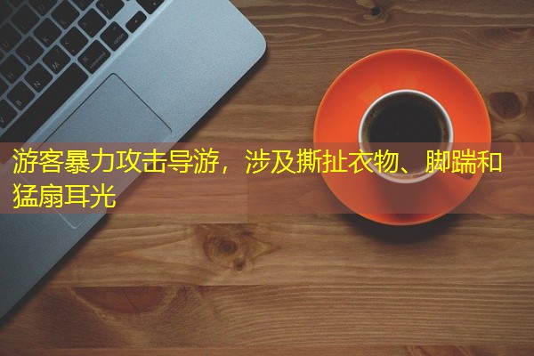 游客暴力攻击导游,涉及撕扯衣物、脚踹和猛扇耳光
