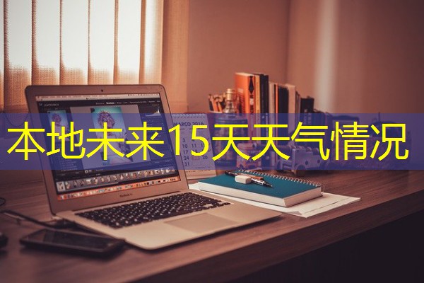 本地未来15天天气情况