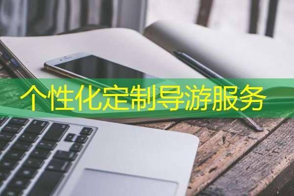 个性化定制导游服务