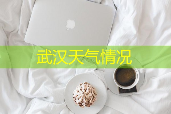武汉天气情况 武汉天气情况