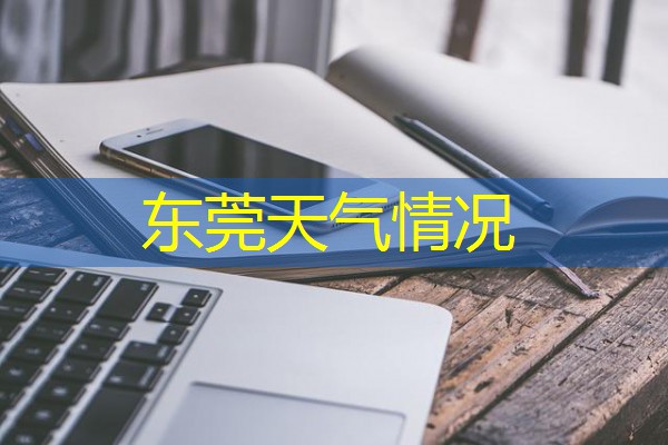东莞天气情况
