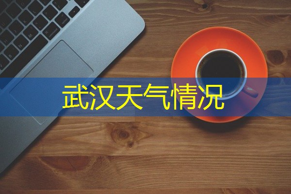 武汉天气情况 武汉天气情况