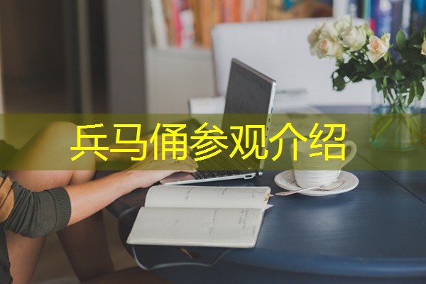 兵马俑参观介绍