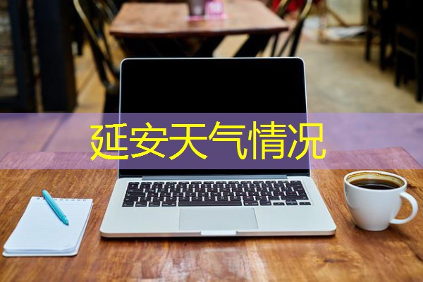 延安天气情况
