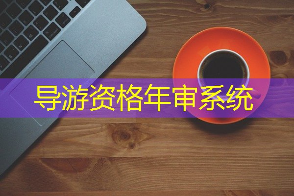 导游资格年审系统 导游资格年审系统