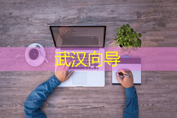 武汉向导