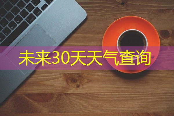 未来30天天气查询