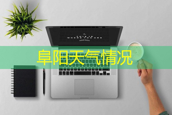 阜阳天气情况