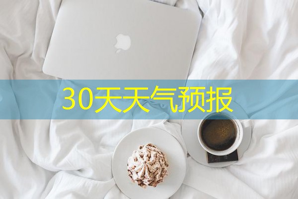 30天天气预报
