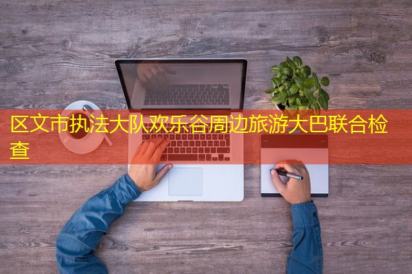 区文市执法大队欢乐谷周边旅游大巴联合检查