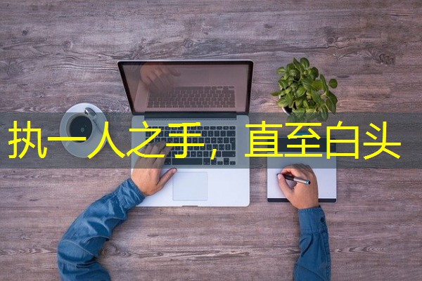 执一人之手,直至白头 执一人之手,直至白头