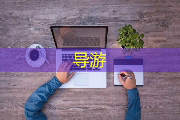 导游