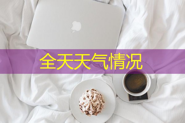 全天天气情况