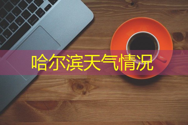 哈尔滨天气情况