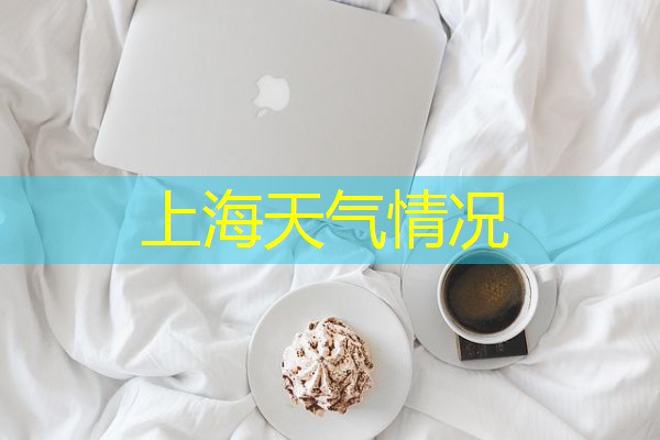 上海天气情况