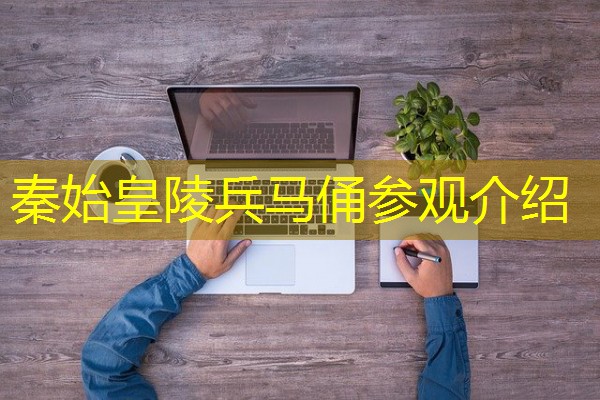 秦始皇陵兵马俑参观介绍