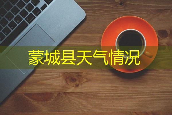 蒙城县天气情况