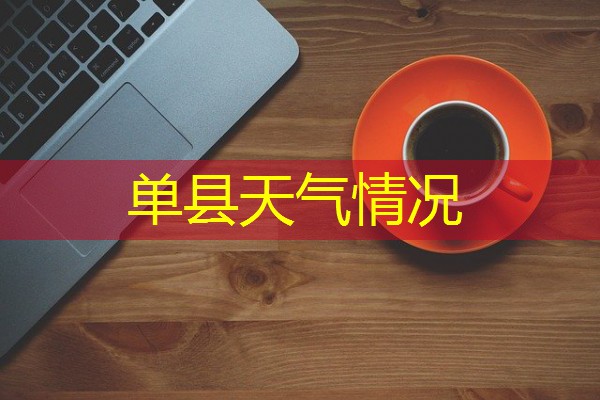 单县天气情况