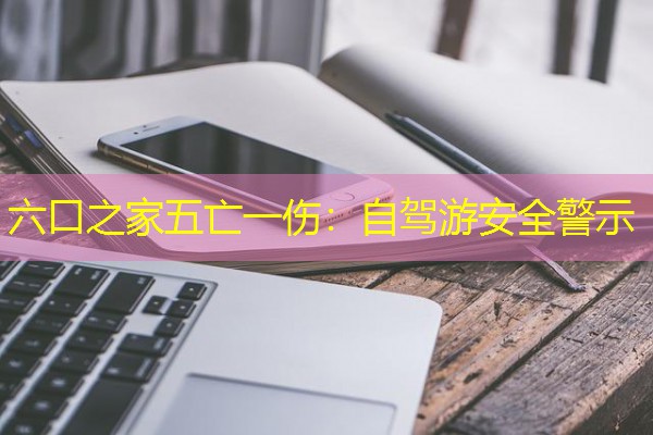 六口之家五亡一伤:自驾游安全警示