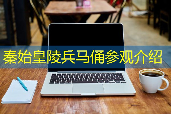 秦始皇陵兵马俑参观介绍