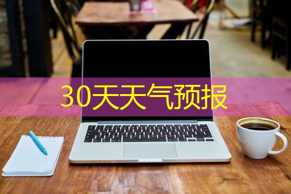 30天天气预报