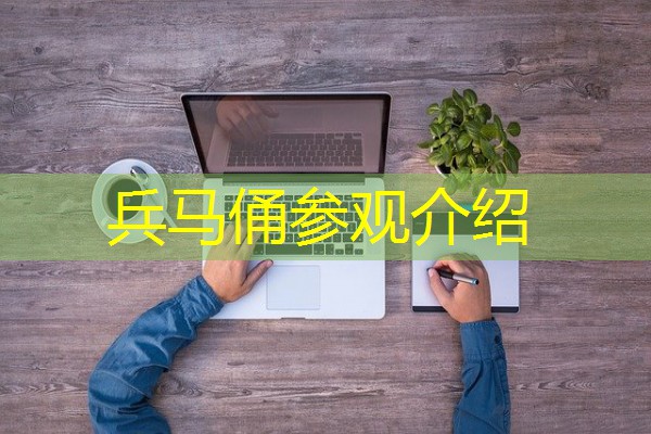 兵马俑参观介绍 兵马俑参观介绍